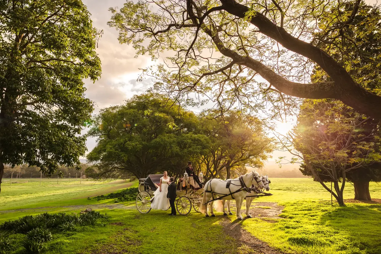 Sarah & James's Quarry Farm Wedding, a Horse and Carriage on the Farm