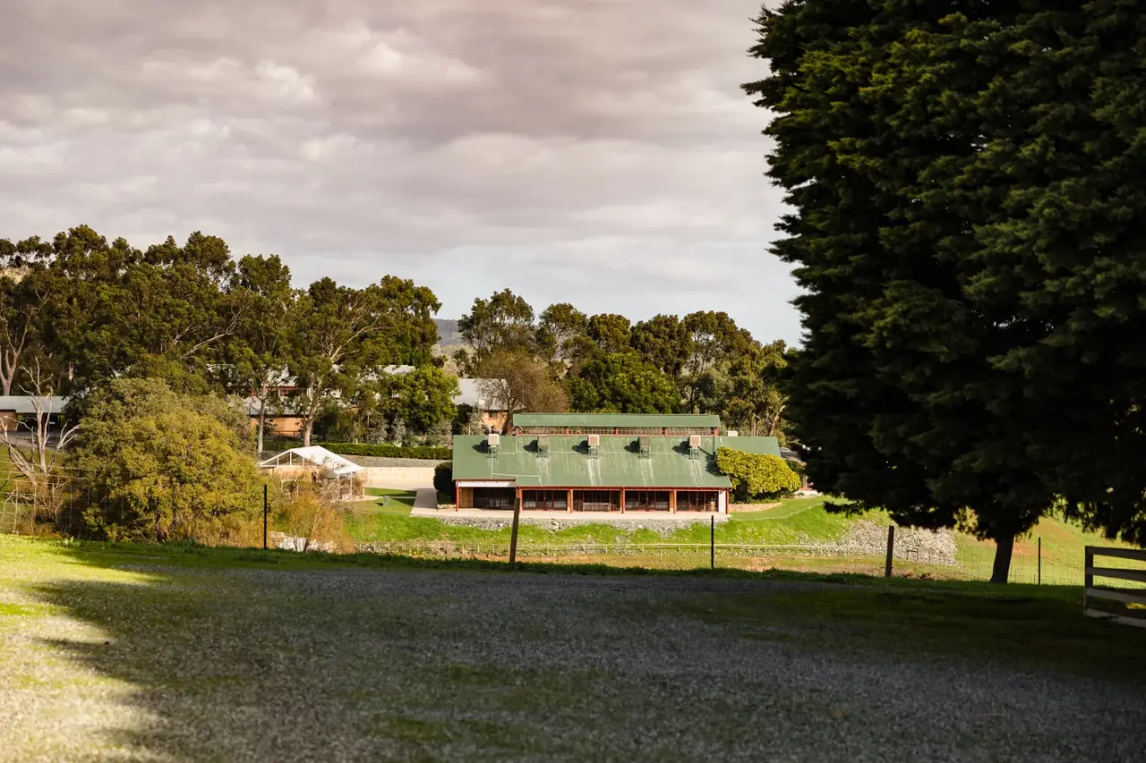 The Quarry Farm homestead among the trees with paddocks in front