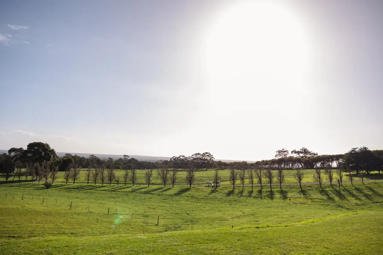 Green paddocks and rolling hills at Quarry Farm in Whitby