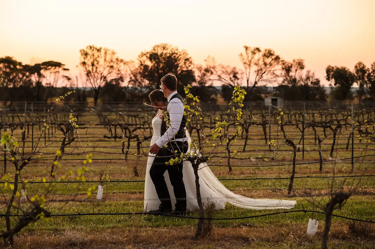 A couple among the vines at sunset at Walkers Hill Vineyard