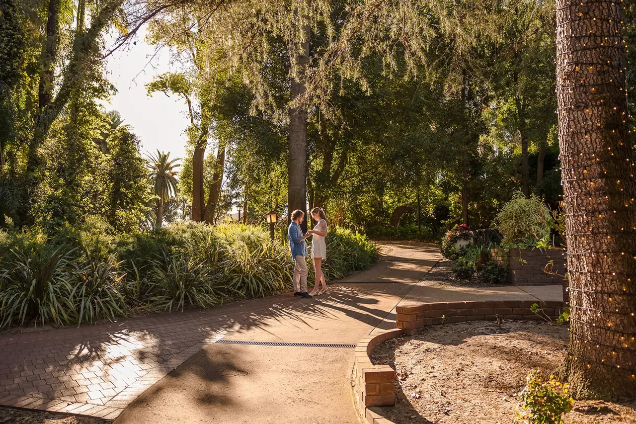 A couple on a sunlit tree-lined garden path at Wanneroo Botanic Gardens