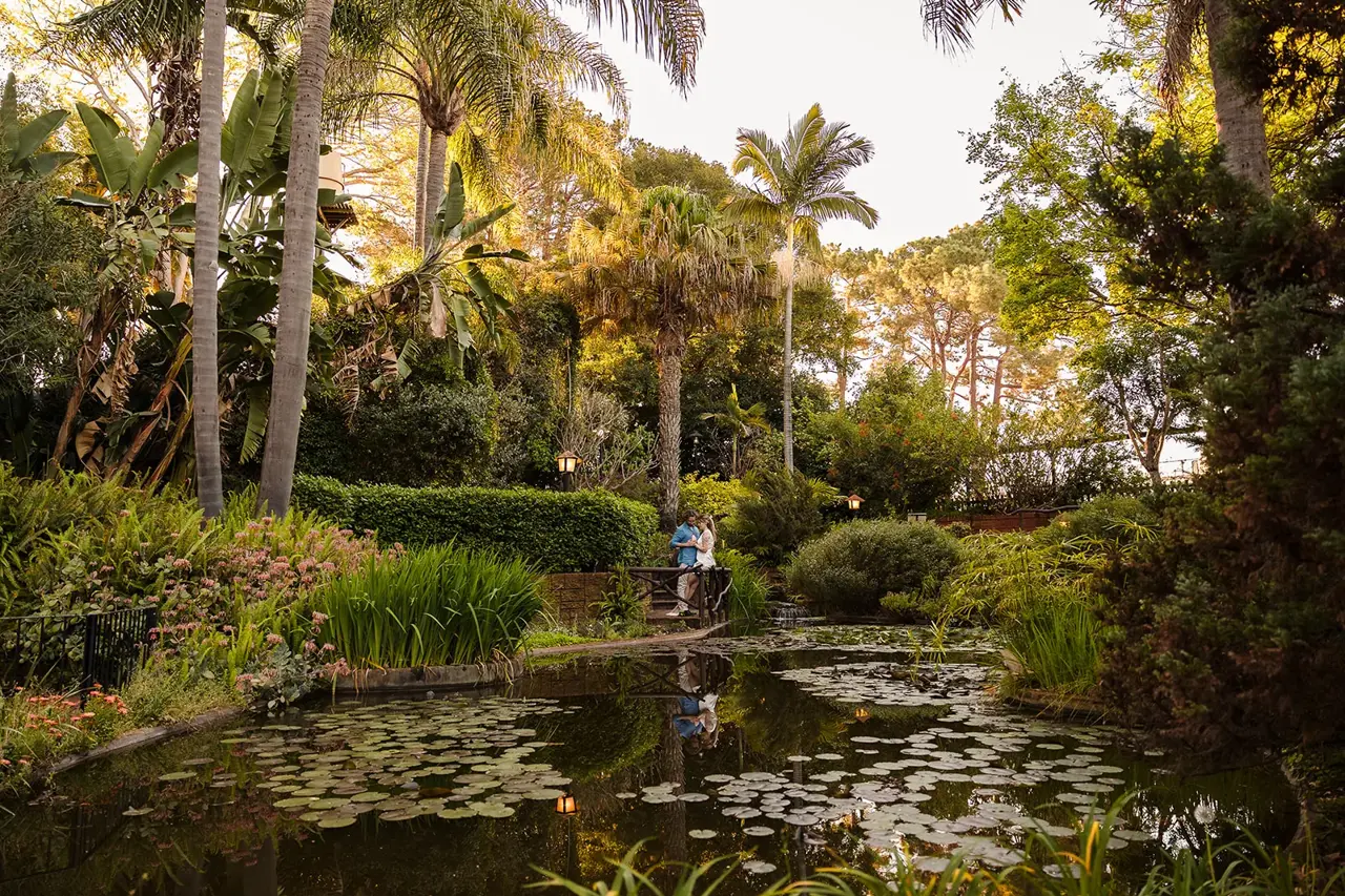 The lily pond framed by palms and greenery at Wanneroo Botanic Gardens