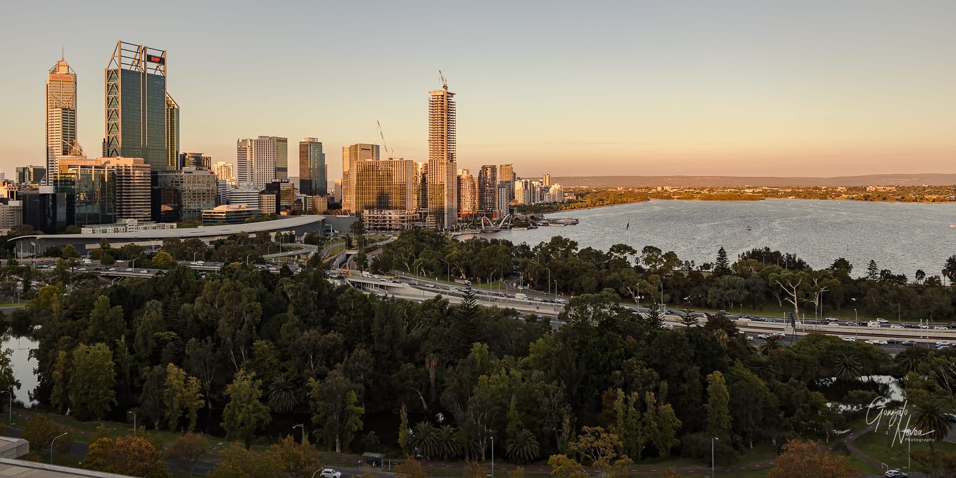 A Picture-Perfect Surprise Engagement Proposal at Kings Park: Love in Bloom!