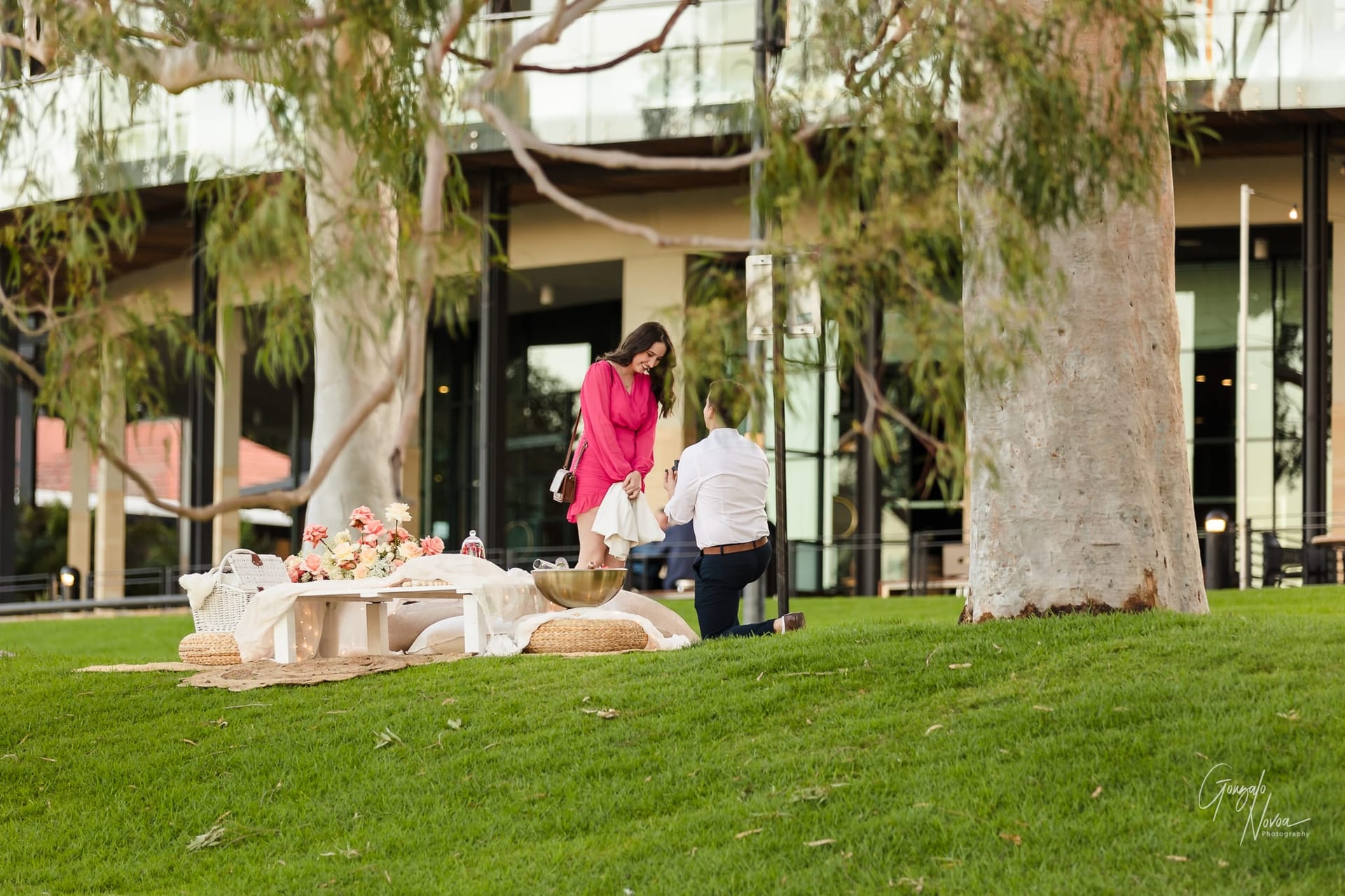 Perth Wedding Photographer, Surprise engagement proposal - Gonzalo Novoa Photography at Kings Park WA