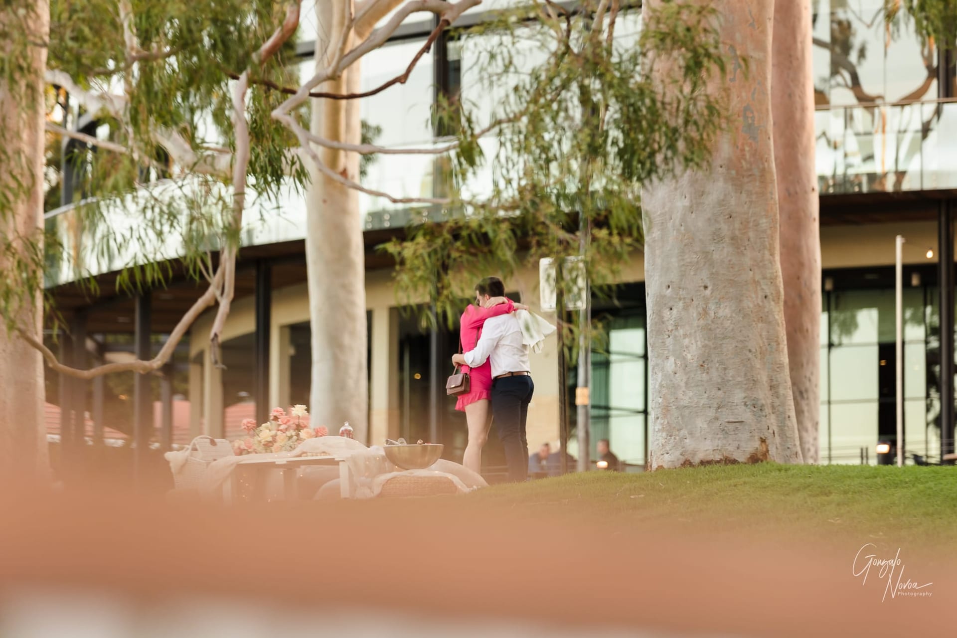 Perth Wedding Photographer, Surprise engagement proposal - Gonzalo Novoa Photography at Kings Park WA