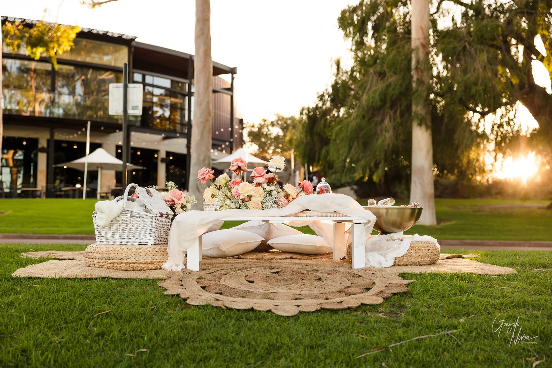 Perth Wedding Photographer, Surprise engagement proposal - Gonzalo Novoa Photography at Kings Park WA