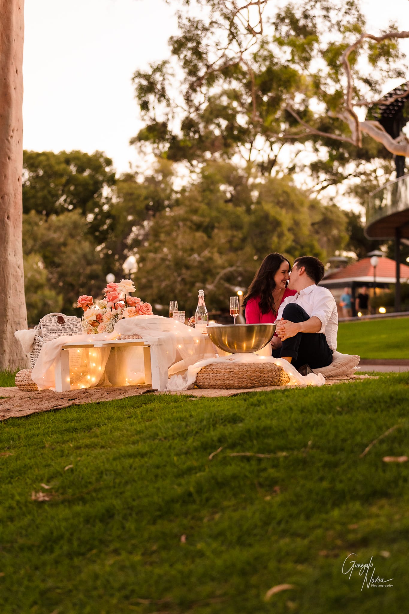 Perth Wedding Photographer, Surprise engagement proposal - Gonzalo Novoa Photography at Kings Park WA