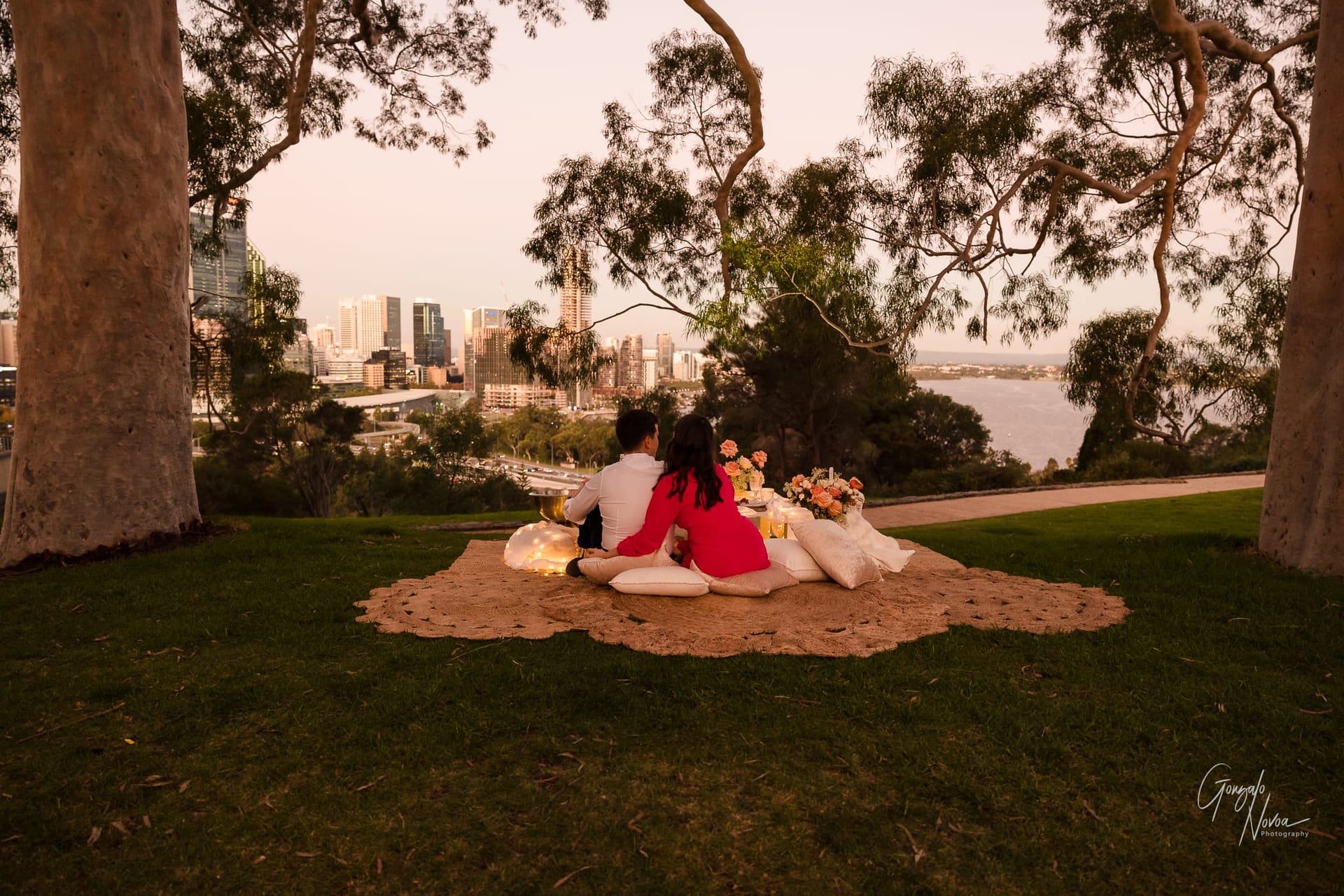 Perth Wedding Photographer, Surprise engagement proposal - Gonzalo Novoa Photography at Kings Park WA