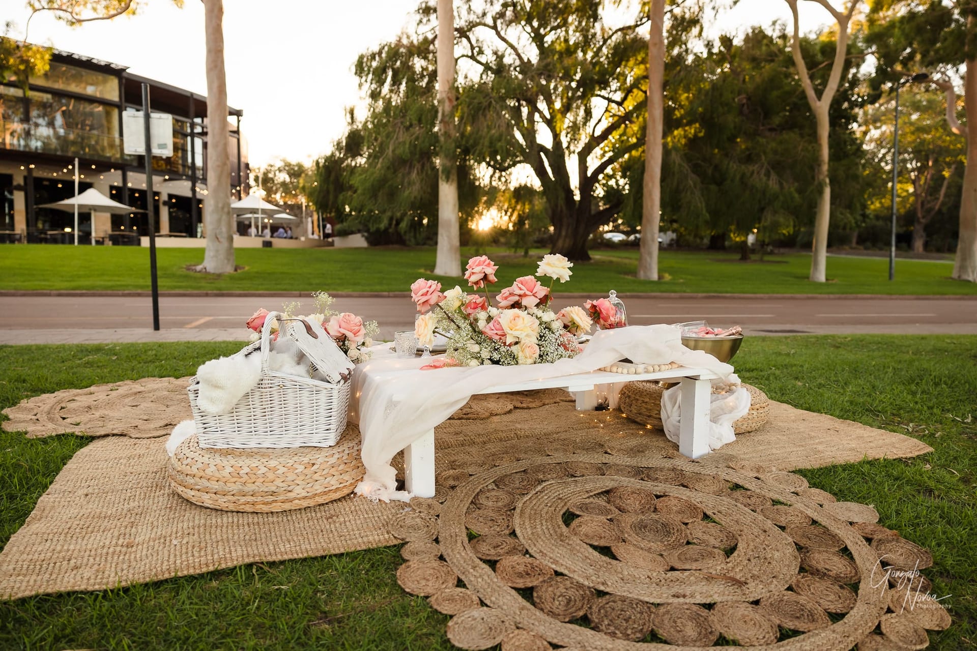 Perth Wedding Photographer, Surprise engagement proposal - Gonzalo Novoa Photography at Kings Park WA