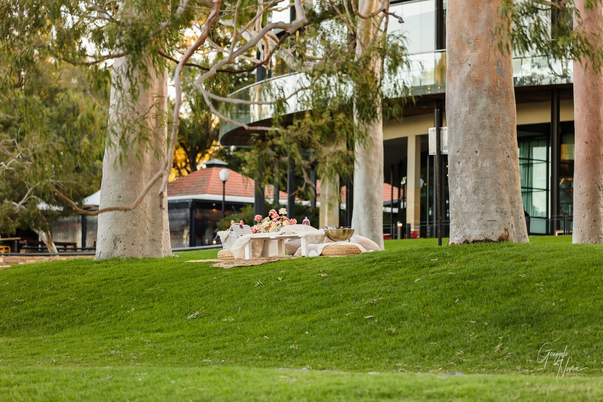 Perth Wedding Photographer, Surprise engagement proposal - Gonzalo Novoa Photography at Kings Park WA