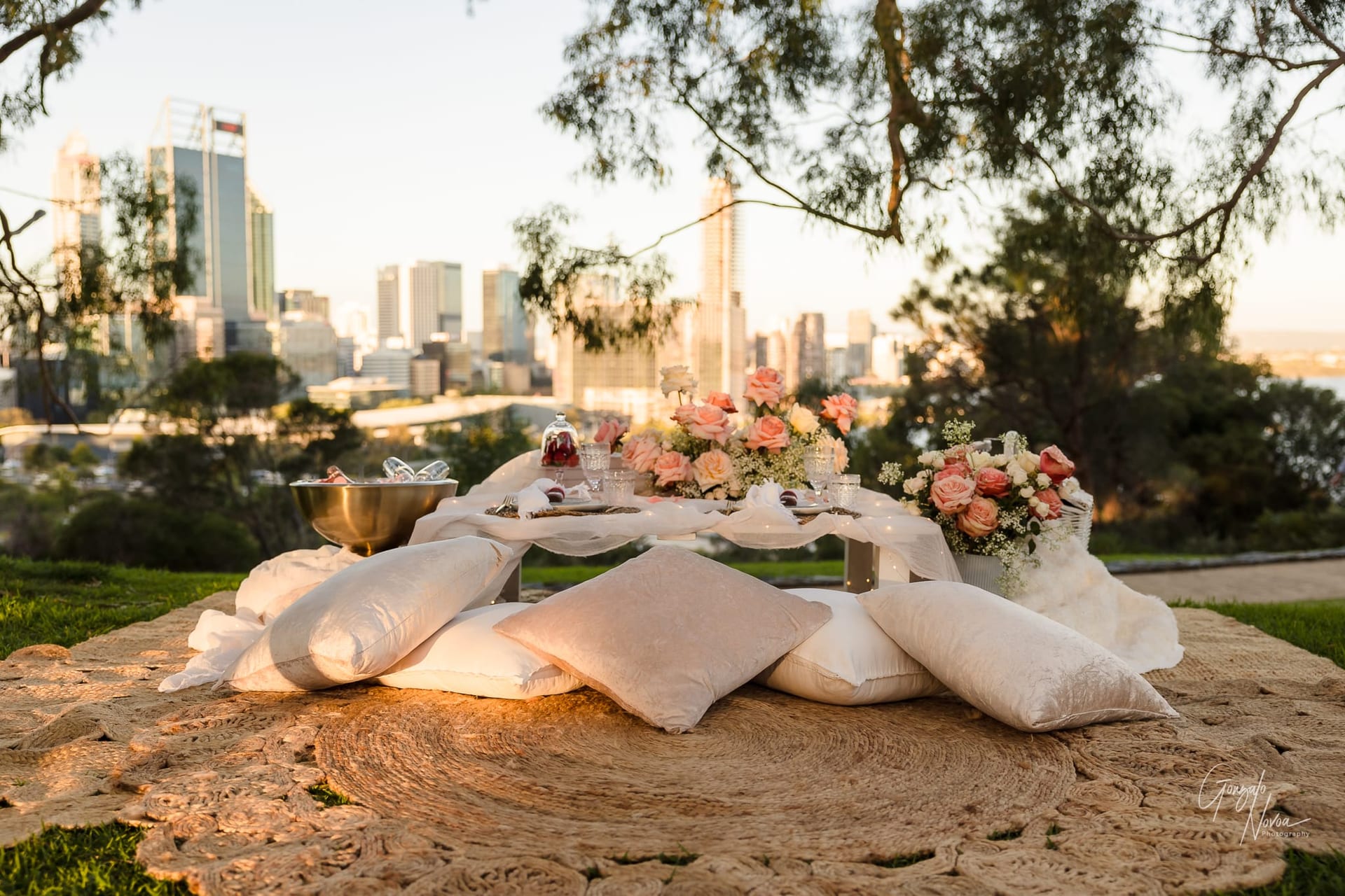Perth Wedding Photographer, Surprise engagement proposal - Gonzalo Novoa Photography at Kings Park WA