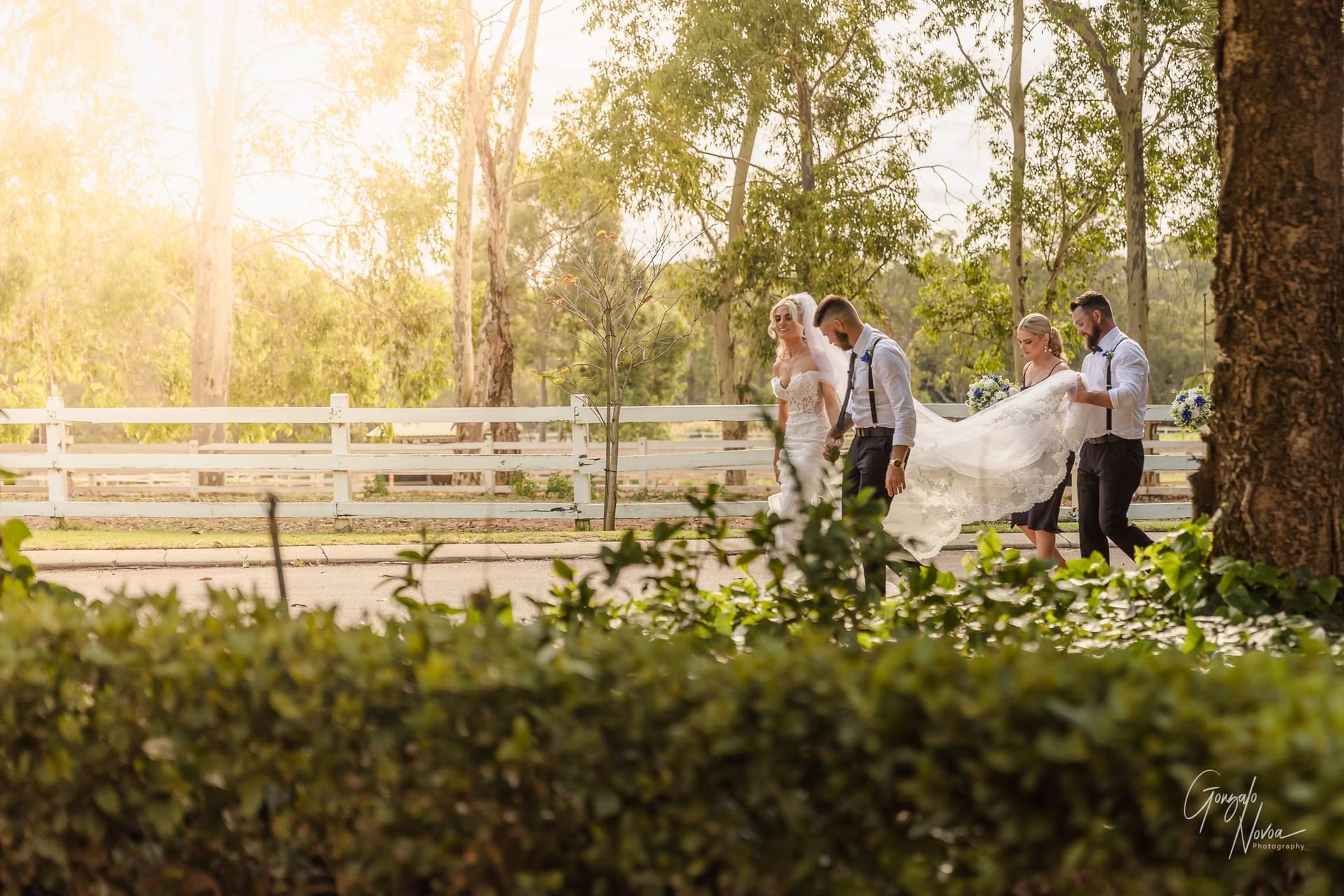 Bridal party, Perth Wedding Photography at Brookleigh Estate