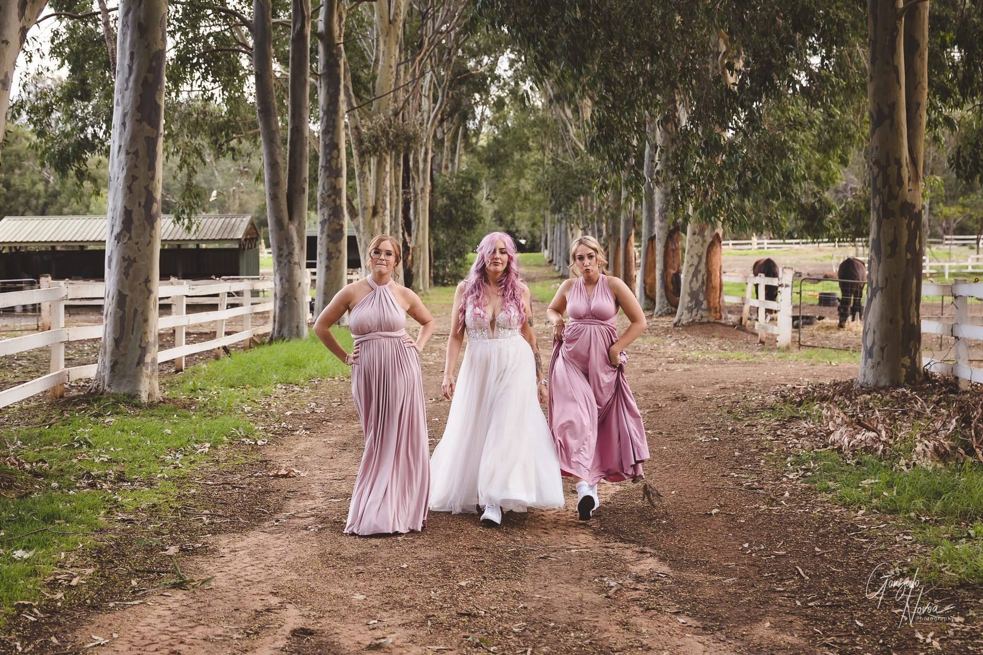 Perth Wedding Photography at Brookleigh Estate, Bride and Bridesmaids portrait