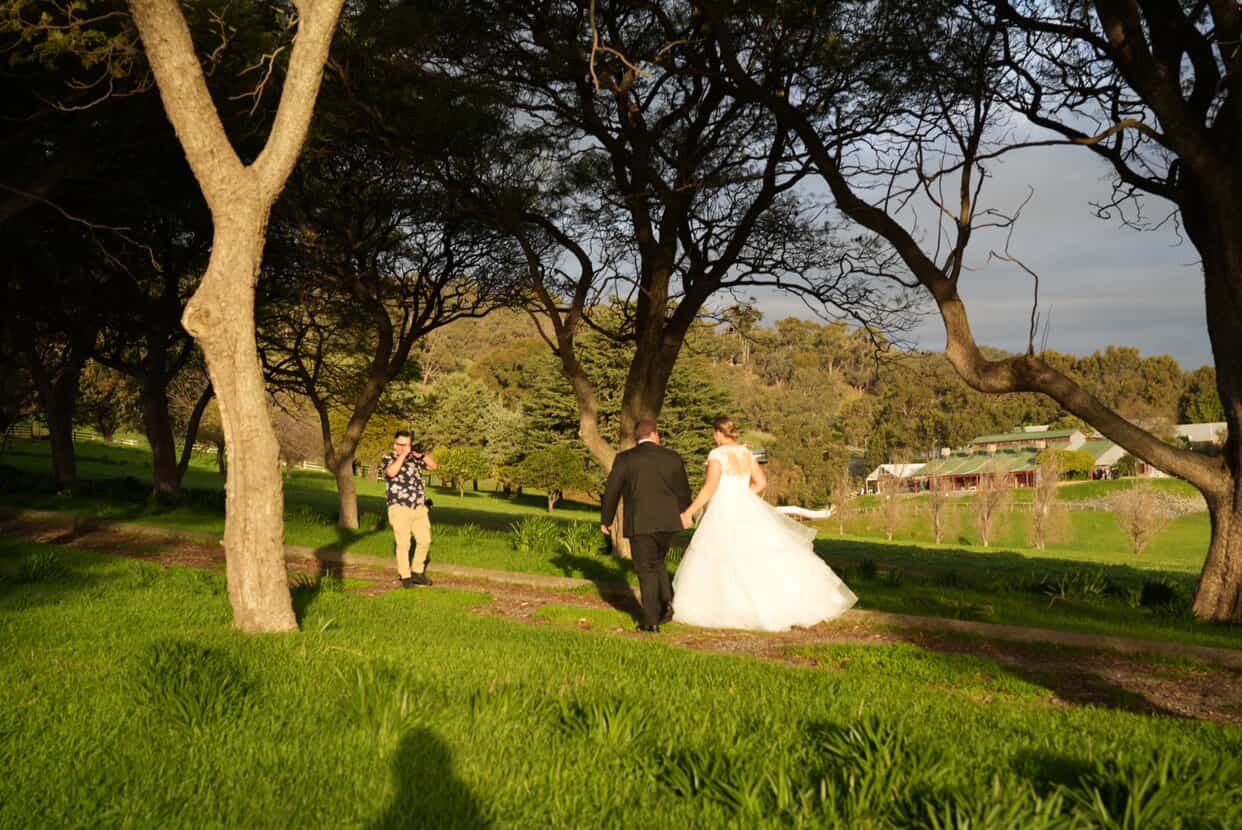 Gonzalo Novoa, a wedding photographer, captures a bride and groom walking hand-in-hand through a sunlit forested area, highlighting the connection between the photographer and the couple.
