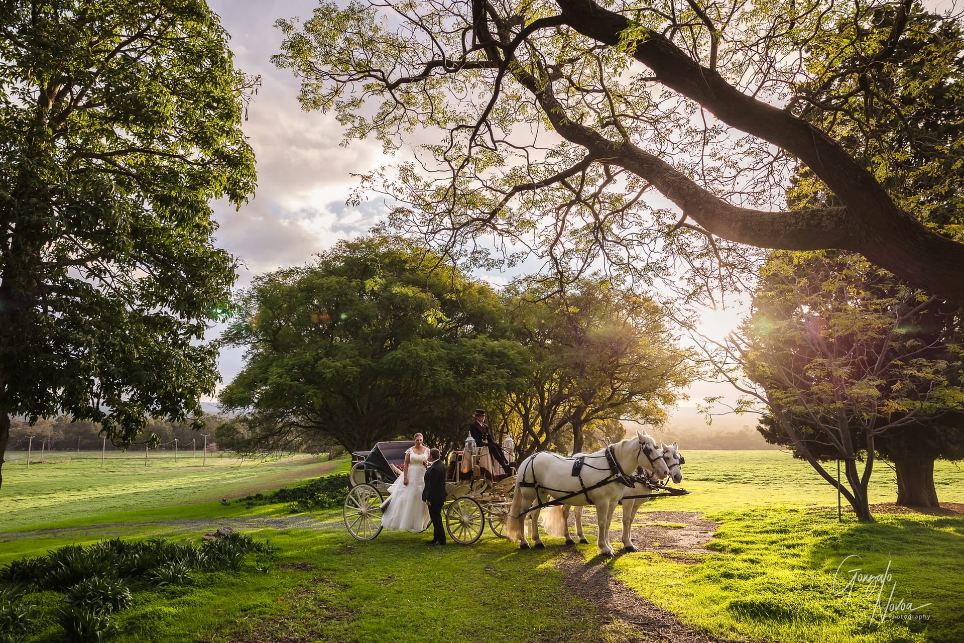 How Much Does a Wedding Photographer Cost in Perth? Here's What You're Really Paying For