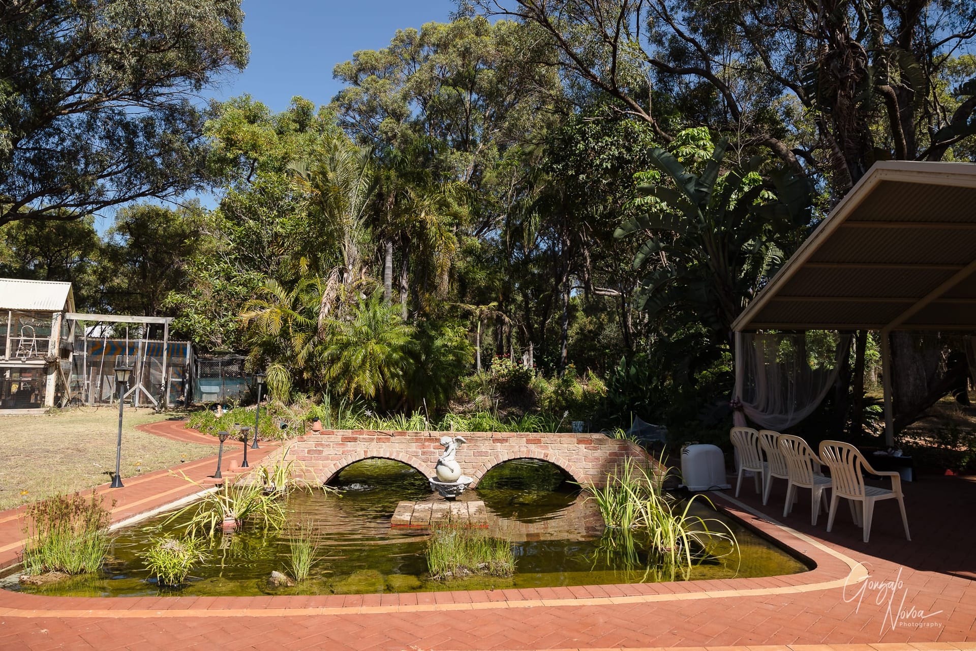 A lush garden with a small pond, featuring a brick bridge with two arches and a statue in the centre. Tall trees and tropical plants create a serene, intimate atmosphere, while a covered seating area with white chairs and soft drapery adds to the romantic charm of the space.