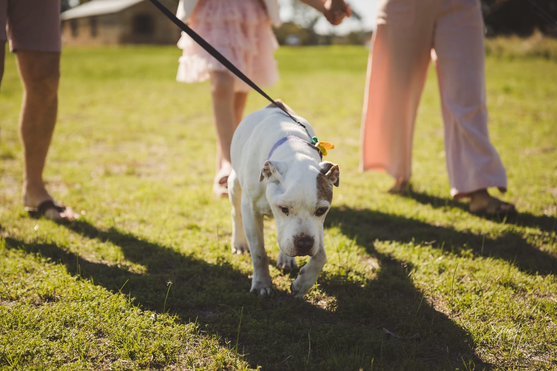 Perth Family Photographer, Family Portraits - Gonzalo Novoa Photography at Perry's Paddock