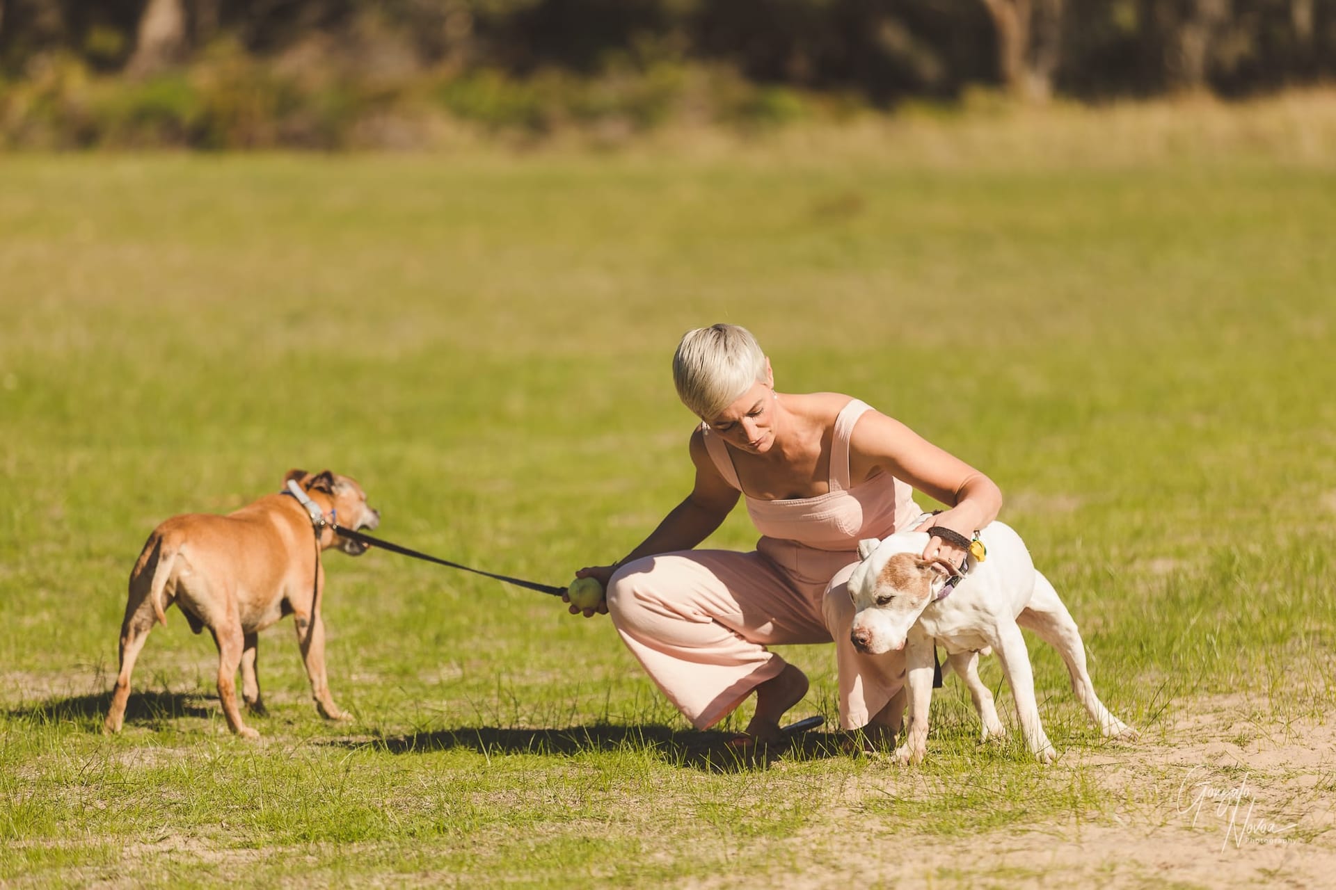 Perth Family Photographer, Family Portraits - Gonzalo Novoa Photography at Perry's Paddock