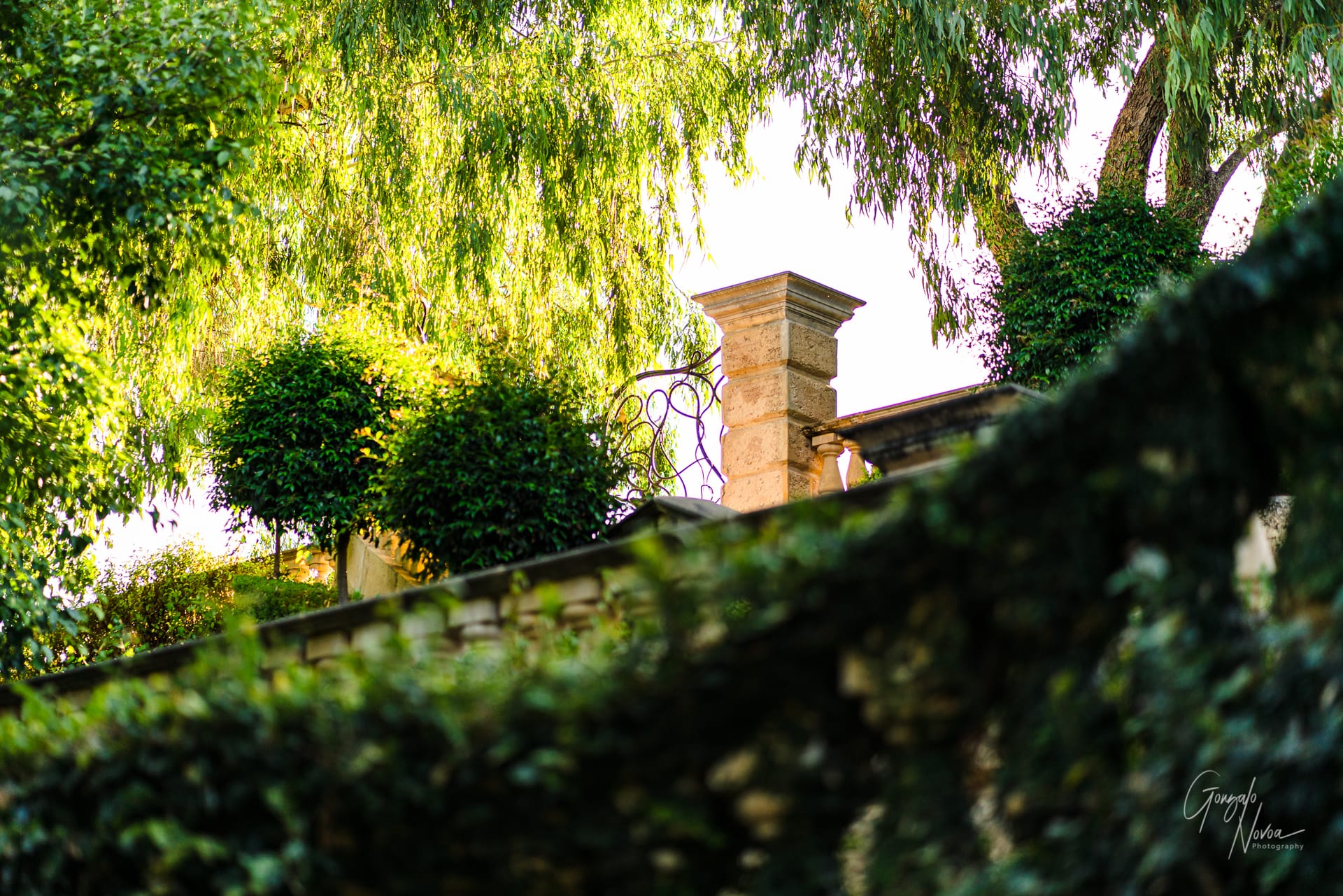 Perth Wedding Photographer, Wedding Portraits - Gonzalo Novoa Photography at Caversham House