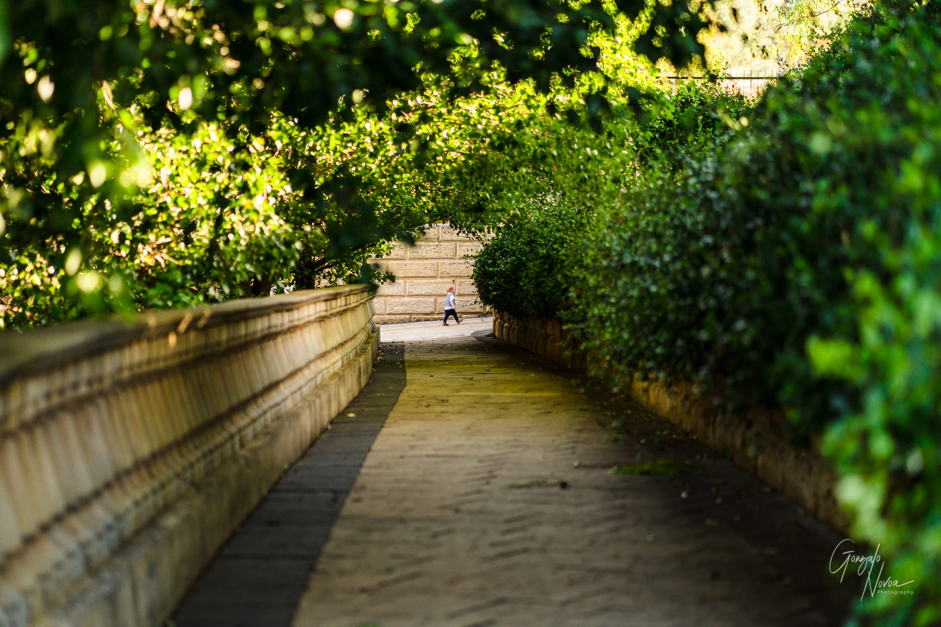 Perth Wedding Photographer, Wedding Portraits - Gonzalo Novoa Photography at Caversham House