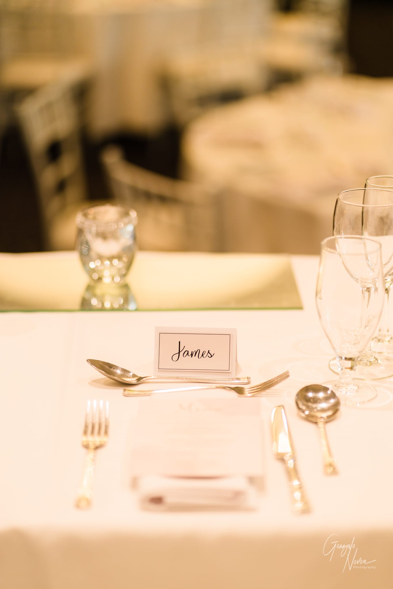 Perth Wedding Photographer, Wedding venue details - Gonzalo Novoa Photography at Caversham House