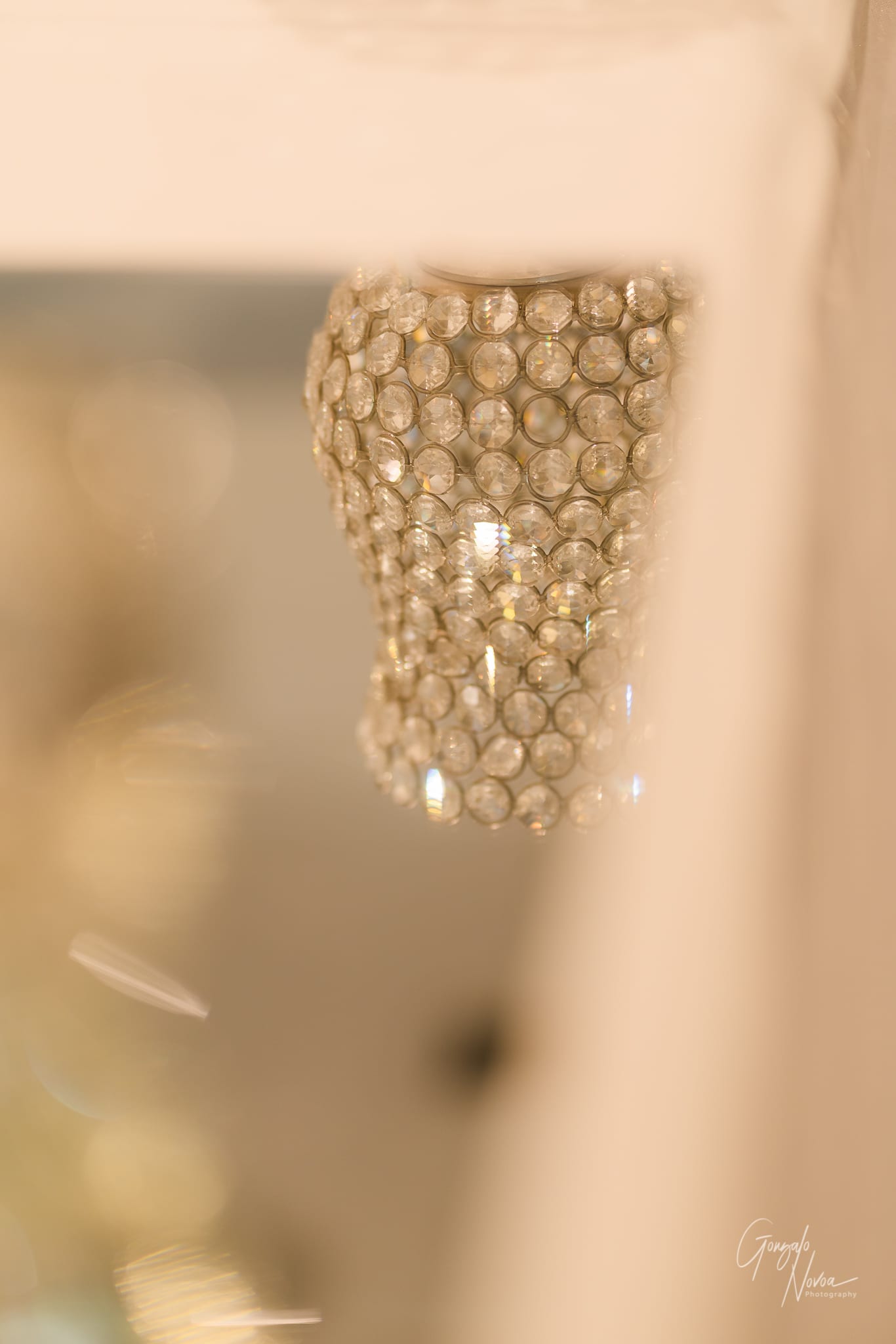 Perth Wedding Photographer, Wedding venue details - Gonzalo Novoa Photography at Caversham House