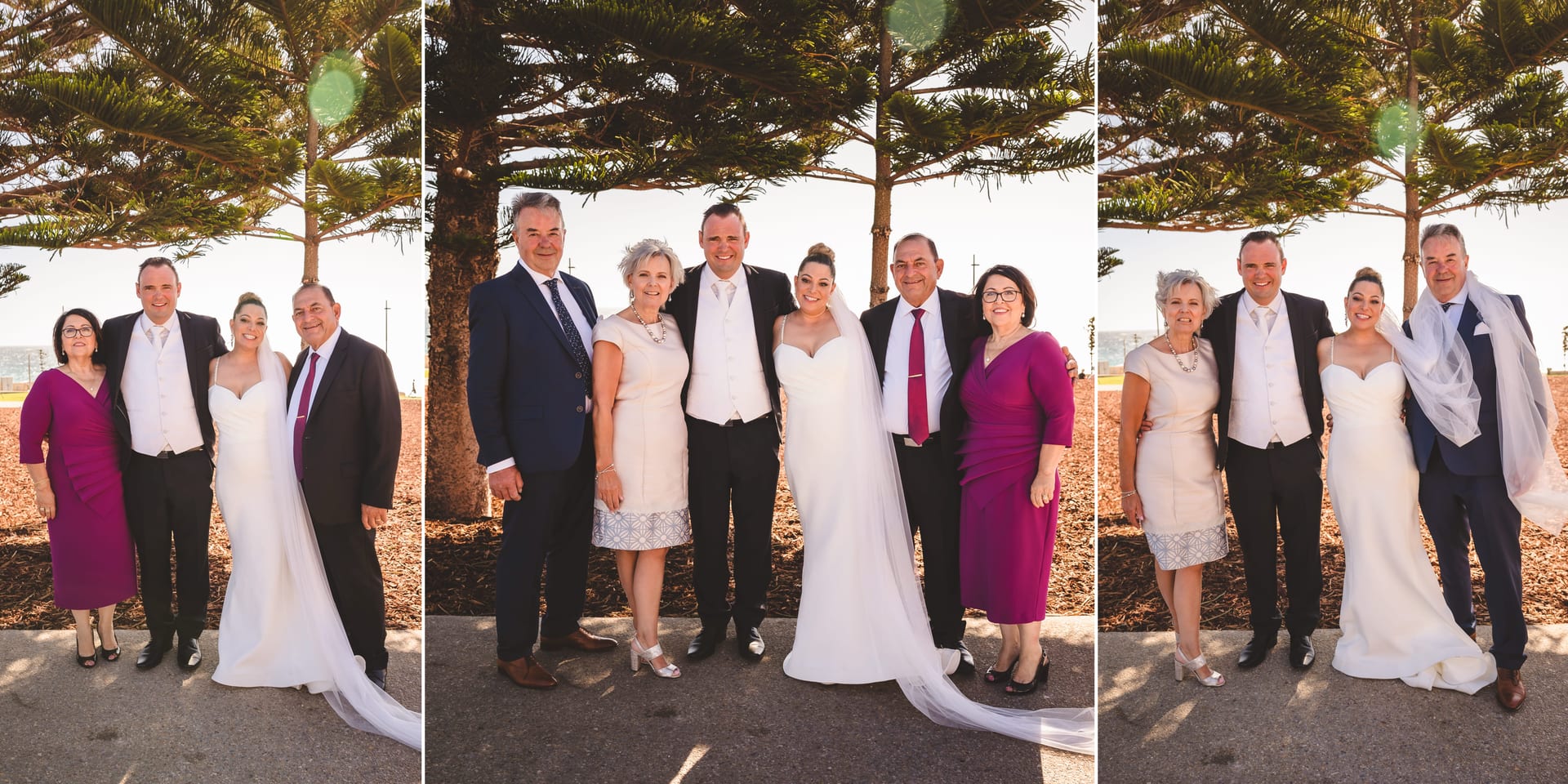 A wedding party with a bride in white and groom in a suit posing with family under a tree on a sunny day. Smiles and joy in each photo.