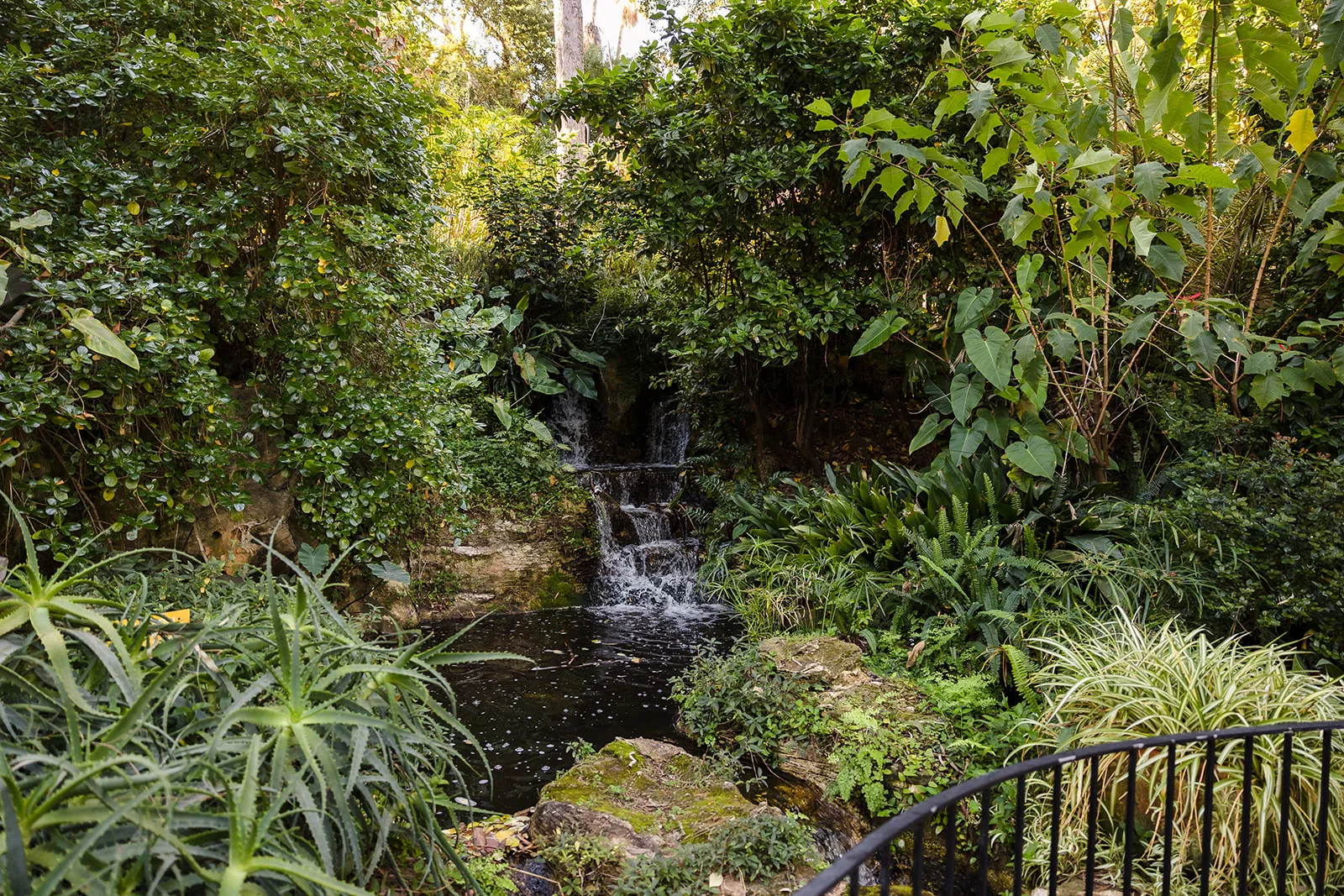 A garden waterfall tucked into the greenery at Wanneroo Botanic Gardens
